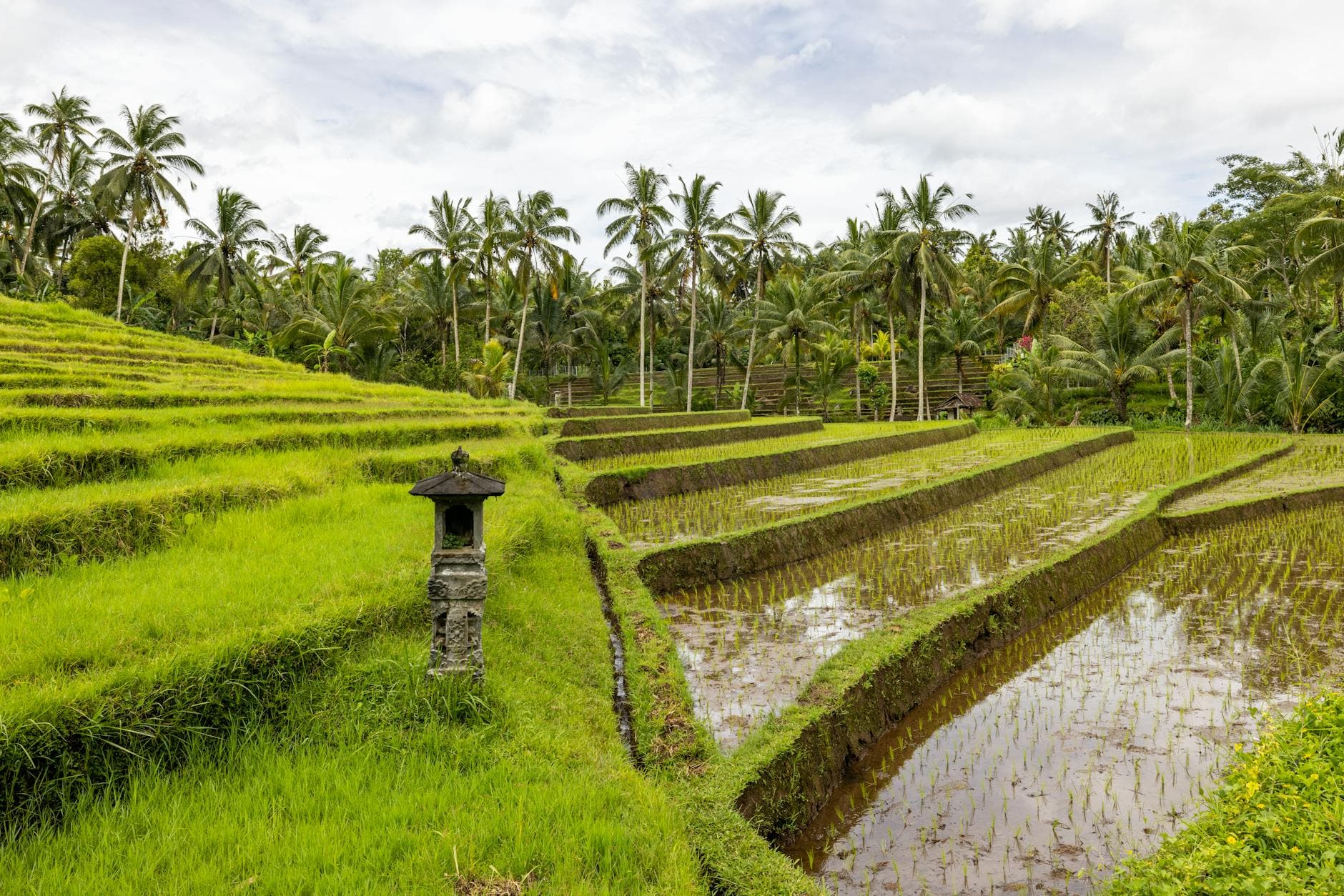 Yoga class in a traditional open-air Balinese shala with jungle views