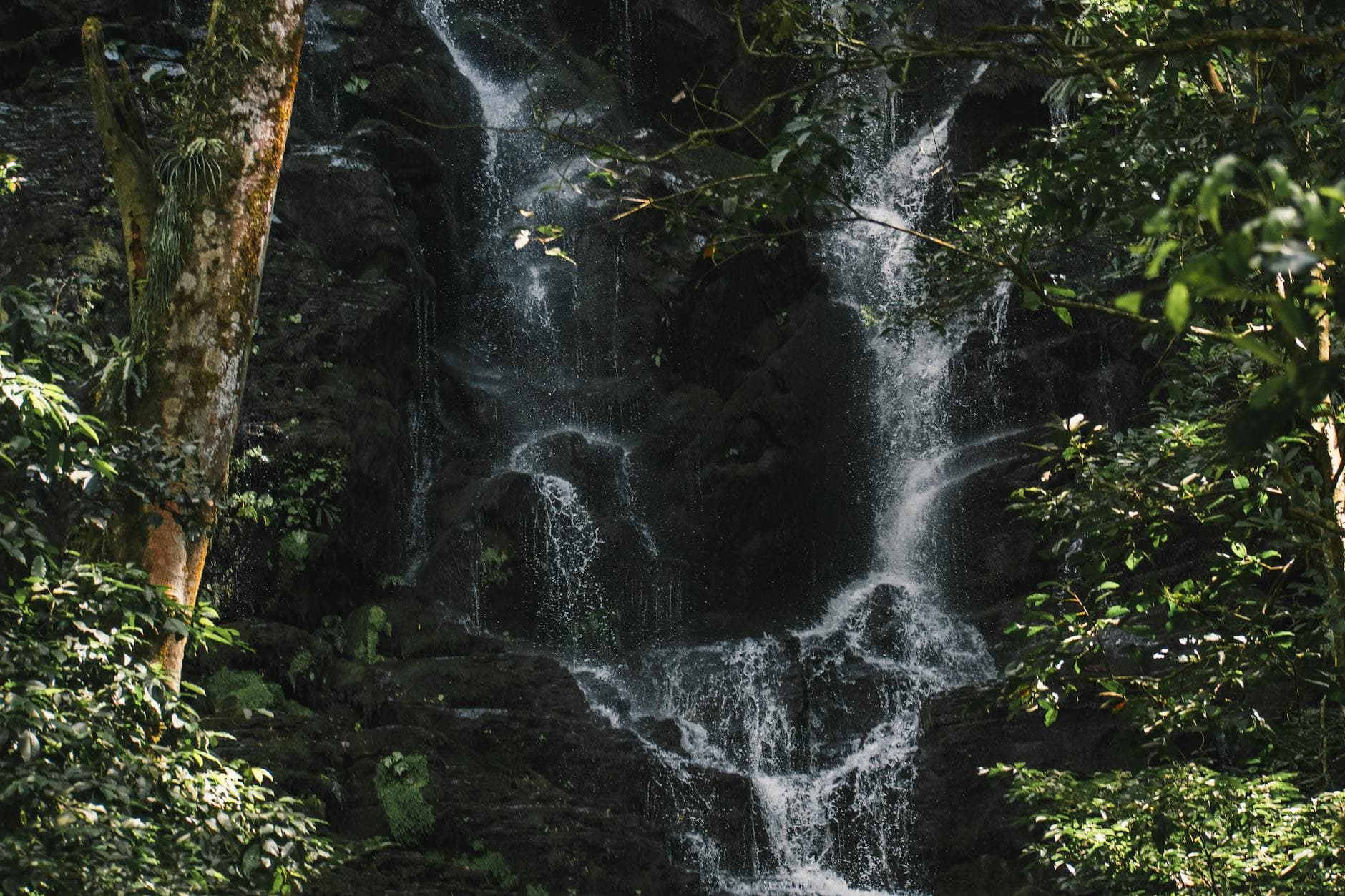Outdoor yoga platform in Costa Rica rainforest with tropical canopy